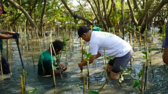 Penanaman 300 Pohon Mangrove di Kawasan Ekowisata Wonorejo