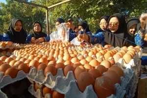 Lawan Dominasi Tengkulak, Peternak Blitar Jual Telur Langsung ke Warga Rp20 Ribu per Kg