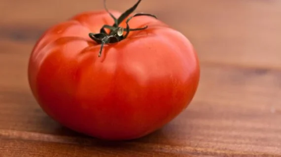 Pria Wajib Tahu, 6 Makanan Ini Baik untuk Kesehatan Prostat