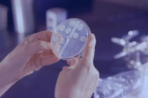 Hadapi Resistensi Antibiotik, Pfizer Perkuat Dukungan terhadap Inovasi Kesehatan