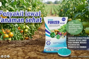 Jamur pada Tanaman ini Penyebab, Cara Mencegah, dan Solusi Perlindungan yang Efektif