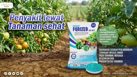Jamur pada Tanaman ini Penyebab, Cara Mencegah, dan Solusi Perlindungan yang Efektif
