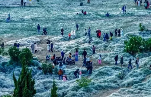 Suhu Minus Nol Derajat di Dieng Lebih Sering Terjadi Tahun Ini, BMKG Ingatkan Wisatawan