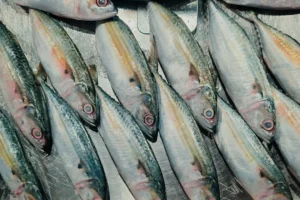 Protein Hewani Tak Harus Mahal, Ikan Kembung Bisa Jadi Pilihan