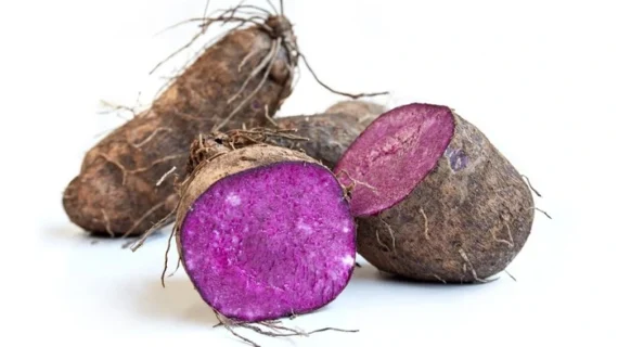 Warna Ungu Luntur saat Dimasak, Manfaat Ube Berkurang? Ini Faktanya