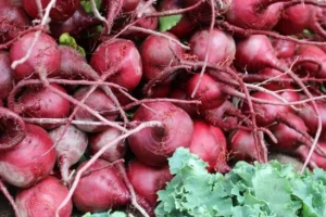 7 Makanan Terbaik agar Paru-paru Tetap Sehat, Jadikan Menu Harian