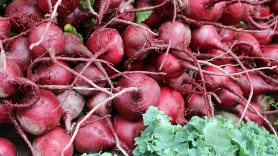 7 Makanan Terbaik agar Paru-paru Tetap Sehat, Jadikan Menu Harian