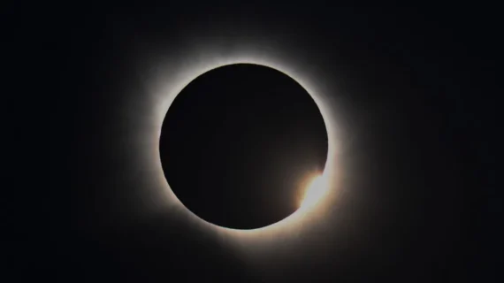 Ragam momen visual di musim panas Eropa yang amat terik