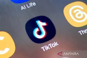 TikTok eksplorasi fitur kirim uang antara pengguna lewat DM