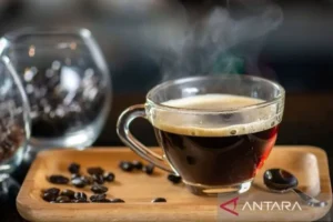 Hal yang perlu diperhatikan saat konsumsi kopi untuk kesehatan ginjal