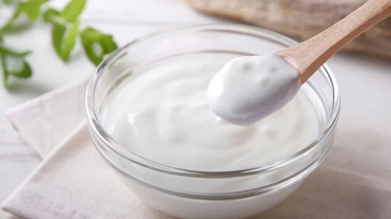 Manfaat Bakteri Yogurt bagi Kesehatan dan Pencernaan Tubuh