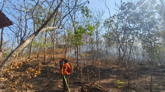 Karhutla Bromo Capai 176,20 Hektare, Tim Gabungan Perkuat Pemadaman