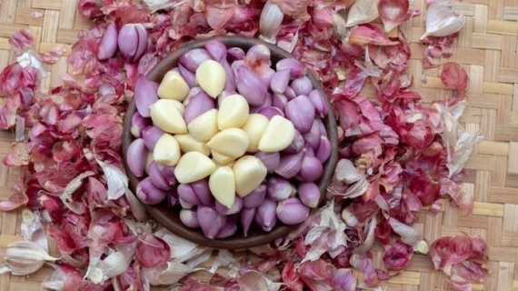 3 Trik Simpan Bawang Kupas agar Tetap Segar dan Tak Bau ke Mana-mana
