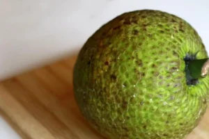 Sukun Berpotensi Jadi ‘Superfood’, Ini Manfaatnya